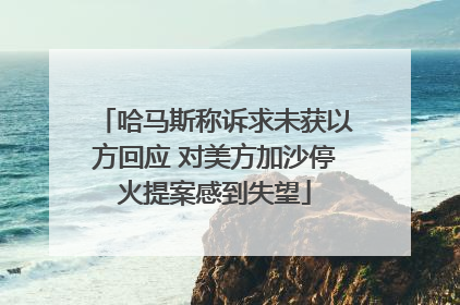 哈马斯称诉求未获以方回应 对美方加沙停火提案感到失望