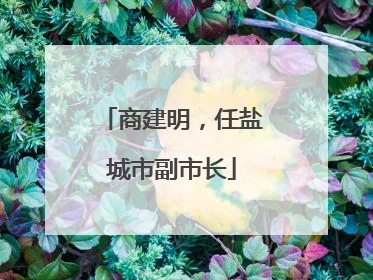 商建明，任盐城市副市长