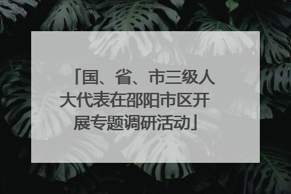 国、省、市三级人大代表在邵阳市区开展专题调研活动