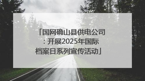 国网确山县供电公司：开展2025年国际档案日系列宣传活动