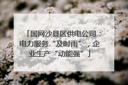 国网沙县区供电公司：电力服务“及时雨”，企业生产“动能强”