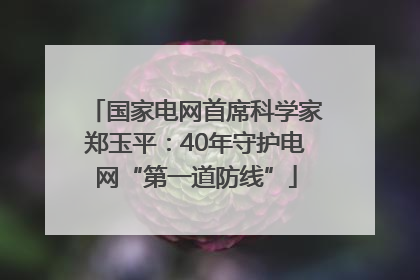 国家电网首席科学家郑玉平：40年守护电网“第一道防线”