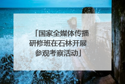 国家全媒体传播研修班在石林开展参观考察活动