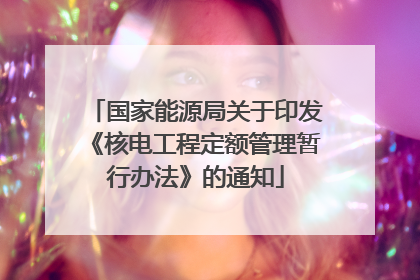 国家能源局关于印发《核电工程定额管理暂行办法》的通知