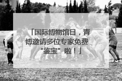 国际博物馆日，青博邀请多位专家免费“鉴宝”啦！