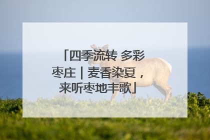 四季流转 多彩枣庄｜麦香染夏，来听枣地丰歌