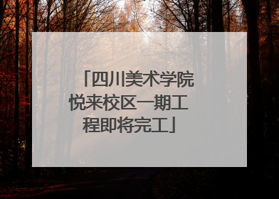 四川美术学院悦来校区一期工程即将完工