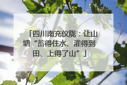 四川南充仪陇：让山塘“蓄得住水、灌得到田、上得了山”