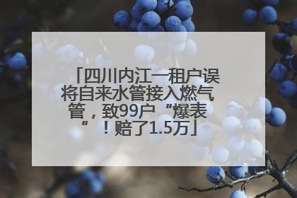 四川内江一租户误将自来水管接入燃气管，致99户“爆表”！赔了1.5万
