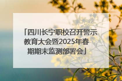 四川长宁职校召开警示教育大会暨2025年春期期末监测部署会