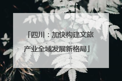 四川：加快构建文旅产业全域发展新格局