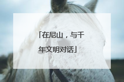 在尼山，与千年文明对话