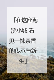 在这座海滨小城 看见一抹茶香的传承与新生