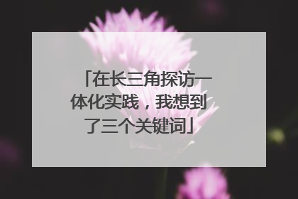 在长三角探访一体化实践，我想到了三个关键词