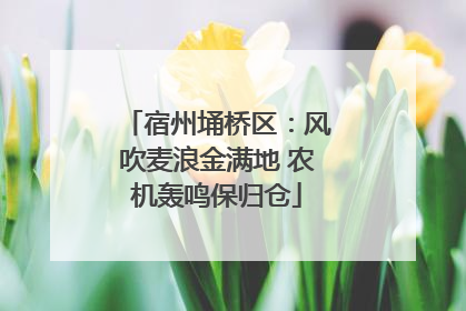 宿州埇桥区：风吹麦浪金满地 农机轰鸣保归仓