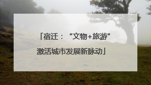 宿迁：“文物+旅游”激活城市发展新脉动