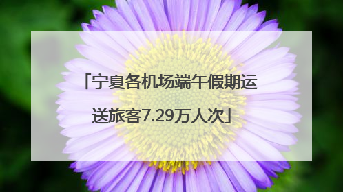 宁夏各机场端午假期运送旅客7.29万人次