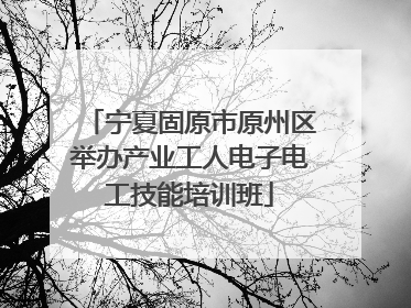 宁夏固原市原州区举办产业工人电子电工技能培训班