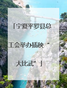 宁夏平罗县总工会举办插秧“大比武”