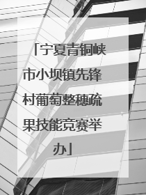 宁夏青铜峡市小坝镇先锋村葡萄整穗疏果技能竞赛举办