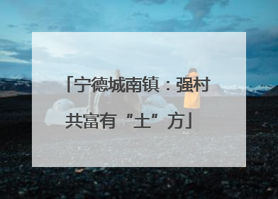宁德城南镇：强村共富有“土”方