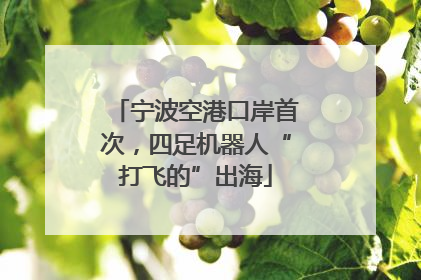 宁波空港口岸首次，四足机器人“打飞的”出海
