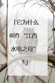 它为什么叫作“江西水电之母”？