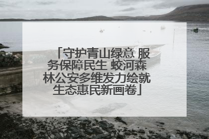 守护青山绿意 服务保障民生 蛟河森林公安多维发力绘就生态惠民新画卷
