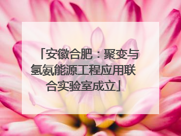 安徽合肥：聚变与氢氨能源工程应用联合实验室成立