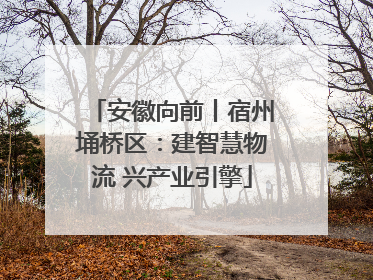 安徽向前丨宿州埇桥区：建智慧物流 兴产业引擎