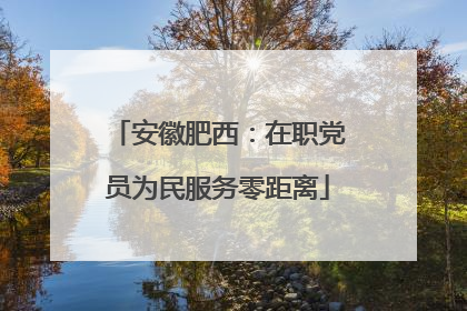 安徽肥西：在职党员为民服务零距离