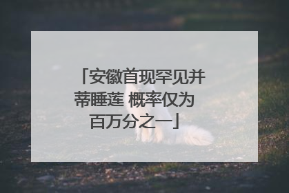 安徽首现罕见并蒂睡莲 概率仅为百万分之一
