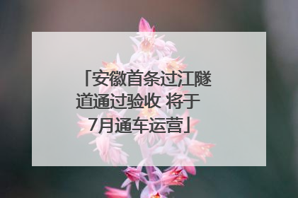 安徽首条过江隧道通过验收 将于7月通车运营