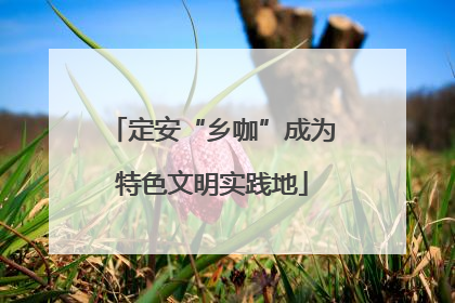 定安“乡咖”成为特色文明实践地