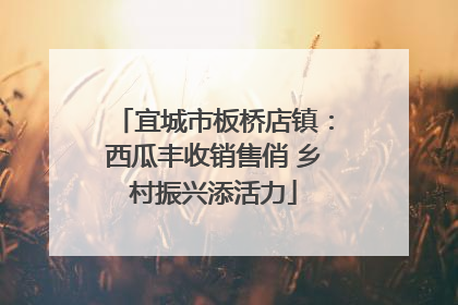 宜城市板桥店镇：西瓜丰收销售俏 乡村振兴添活力