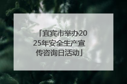 宜宾市举办2025年安全生产宣传咨询日活动