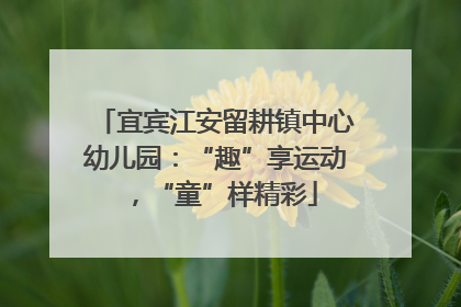 宜宾江安留耕镇中心幼儿园：“趣”享运动，“童”样精彩