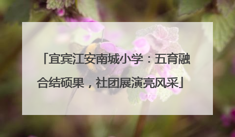 宜宾江安南城小学：五育融合结硕果，社团展演亮风采