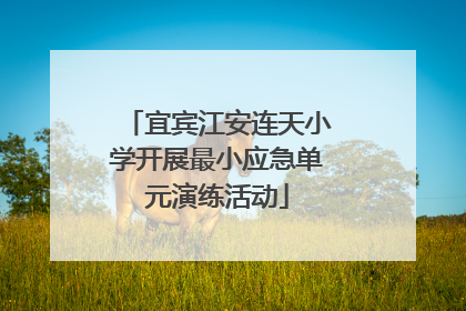 宜宾江安连天小学开展最小应急单元演练活动