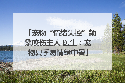 宠物“情绪失控”频繁咬伤主人 医生：宠物夏季易情绪中暑