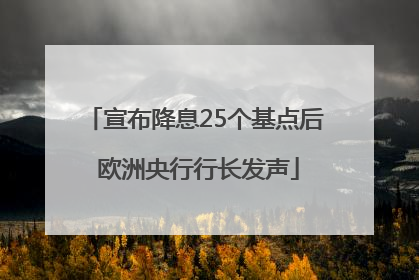 宣布降息25个基点后 欧洲央行行长发声