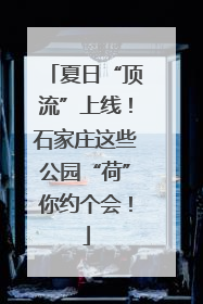 夏日“顶流”上线！石家庄这些公园“荷”你约个会！