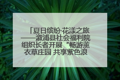 夏日缤纷·花漾之旅——溆浦县社会福利院组织长者开展“畅游薰衣草庄园 共享紫色浪漫”户外活动