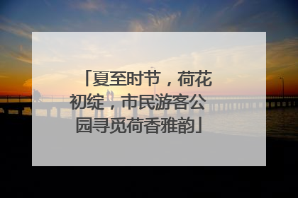 夏至时节，荷花初绽，市民游客公园寻觅荷香雅韵