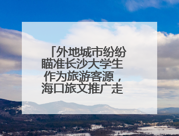 外地城市纷纷瞄准长沙大学生作为旅游客源，海口旅文推广走上星城街头