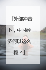 外部冲击下，中国经济何以这么稳？
