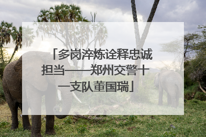 多岗淬炼诠释忠诚担当——郑州交警十一支队董国瑞
