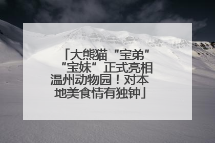 大熊猫“宝弟”“宝妹”正式亮相温州动物园！对本地美食情有独钟