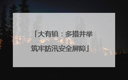 大有镇：多措并举筑牢防汛安全屏障