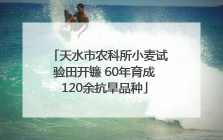 天水市农科所小麦试验田开镰 60年育成120余抗旱品种